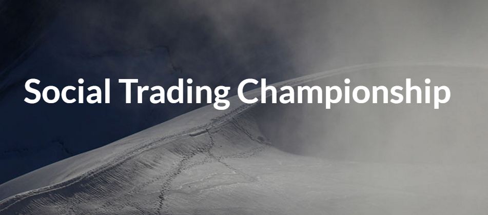social trading championship